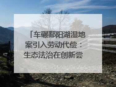 车碾鄱阳湖湿地案引入劳动代偿：生态法治在创新尝试｜有一说一