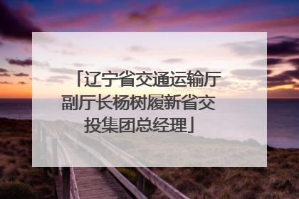 辽宁省交通运输厅副厅长杨树履新省交投集团总经理