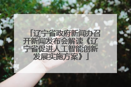 辽宁省政府新闻办召开新闻发布会解读《辽宁省促进人工智能创新发展实施方案》