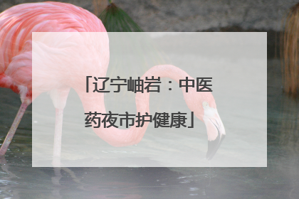 辽宁岫岩：中医药夜市护健康