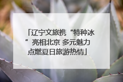 辽宁文旅携“特种冰”亮相北京 多元魅力点燃夏日旅游热情