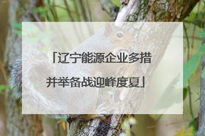 辽宁能源企业多措并举备战迎峰度夏
