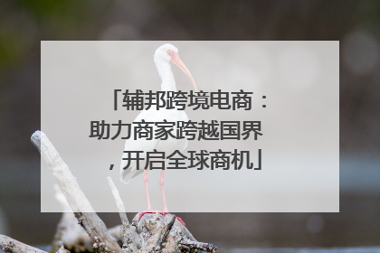 辅邦跨境电商：助力商家跨越国界，开启全球商机