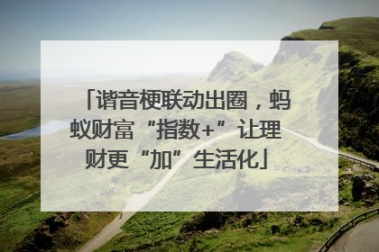 谐音梗联动出圈，蚂蚁财富“指数+”让理财更“加”生活化