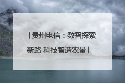 贵州电信：数智探索新路 科技智造农景