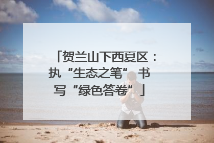 贺兰山下西夏区：执“生态之笔” 书写“绿色答卷”
