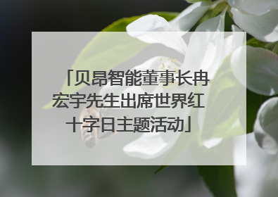 贝昂智能董事长冉宏宇先生出席世界红十字日主题活动