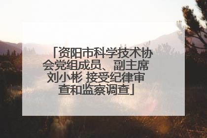 资阳市科学技术协会党组成员、副主席刘小彬 接受纪律审查和监察调查