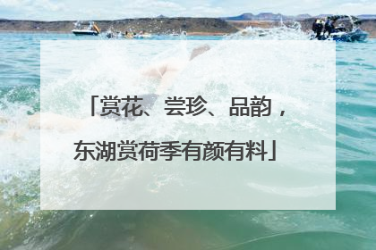 赏花、尝珍、品韵，东湖赏荷季有颜有料