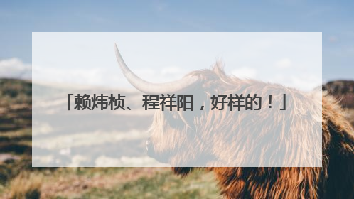 赖炜桢、程祥阳，好样的！