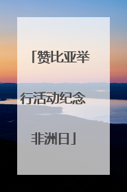 赞比亚举行活动纪念非洲日