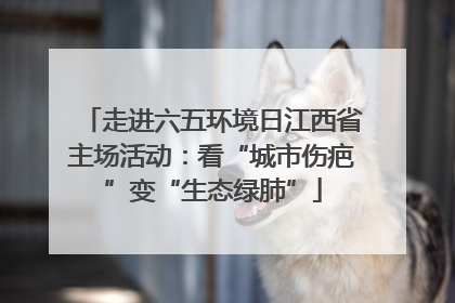 走进六五环境日江西省主场活动：看“城市伤疤”变“生态绿肺”