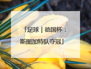 足球｜德国杯：斯图加特队夺冠