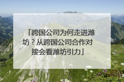 跨国公司为何走进潍坊？从跨国公司合作对接会看潍坊引力