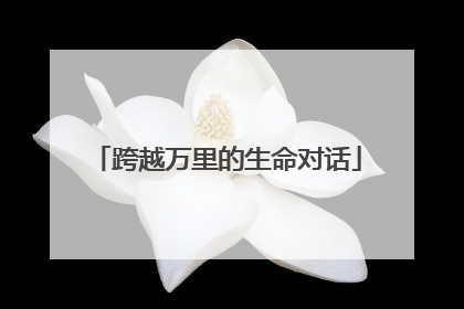 跨越万里的生命对话