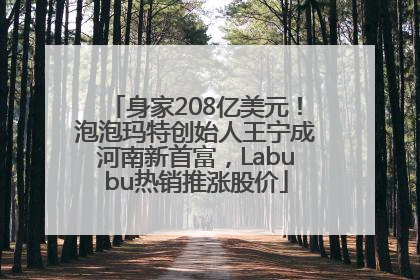 身家208亿美元！泡泡玛特创始人王宁成河南新首富，Labubu热销推涨股价
