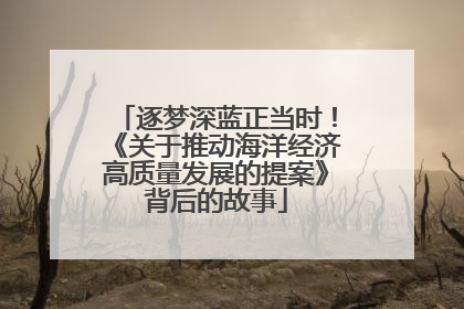 逐梦深蓝正当时！《关于推动海洋经济高质量发展的提案》背后的故事