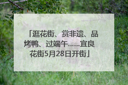 逛花街、赏非遗、品烤鸭、过端午……宜良花街5月28日开街