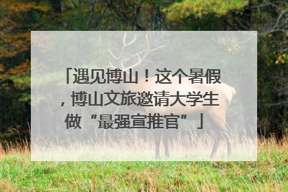 遇见博山！这个暑假，博山文旅邀请大学生做“最强宣推官”