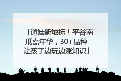 遛娃新地标！平谷南瓜嘉年华，30+品种让孩子边玩边涨知识