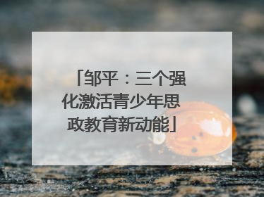 邹平：三个强化激活青少年思政教育新动能