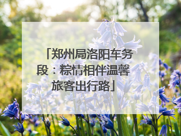 郑州局洛阳车务段：粽情相伴温馨旅客出行路