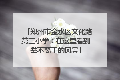 郑州市金水区文化路第三小学：在这里看到拳不离手的风景