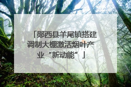郧西县羊尾镇搭建调制大棚激活烟叶产业“新动能”