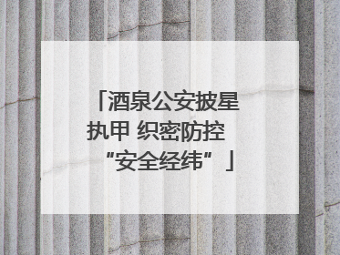 酒泉公安披星执甲 织密防控“安全经纬”