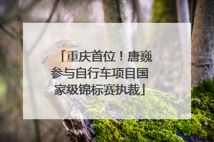 重庆首位！唐巍参与自行车项目国家级锦标赛执裁