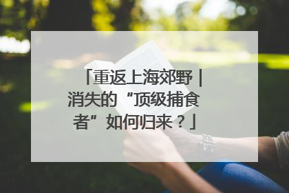 重返上海郊野｜消失的“顶级捕食者”如何归来？