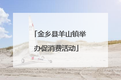 金乡县羊山镇举办促消费活动