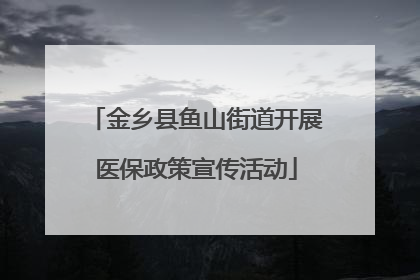金乡县鱼山街道开展医保政策宣传活动