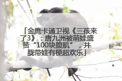 金鹰卡通卫视《三孩来了3》：唐九洲被萌娃盛赞“100块腹肌”，井胧带娃有梗超欢乐