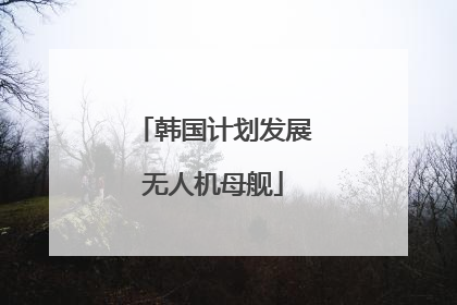 韩国计划发展无人机母舰