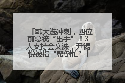 韩大选冲刺，四位前总统“出手”！3人支持金文洙，尹锡悦被指“帮倒忙”