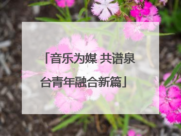 音乐为媒 共谱泉台青年融合新篇