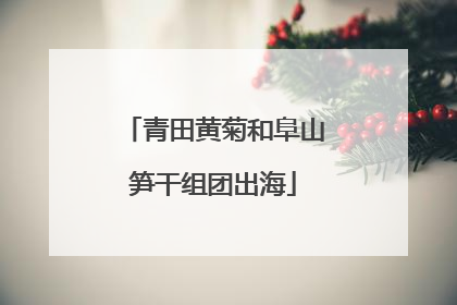 青田黄菊和阜山笋干组团出海