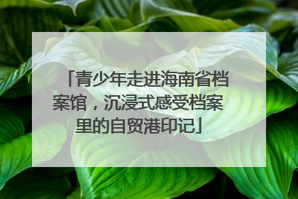 青少年走进海南省档案馆，沉浸式感受档案里的自贸港印记