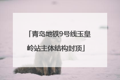 青岛地铁9号线玉皇岭站主体结构封顶