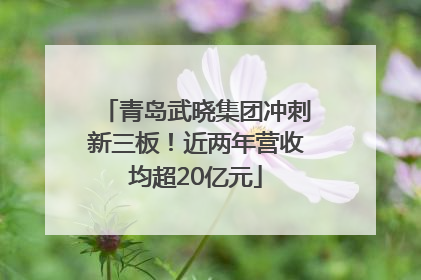青岛武晓集团冲刺新三板！近两年营收均超20亿元