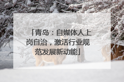 青岛：自媒体人上岗自治，激活行业规范发展新动能