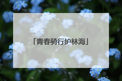 青春骑行护林海