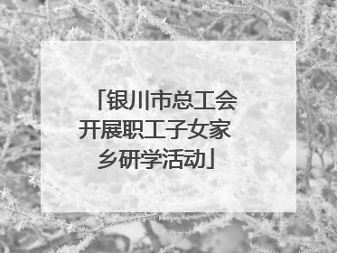 银川市总工会开展职工子女家乡研学活动