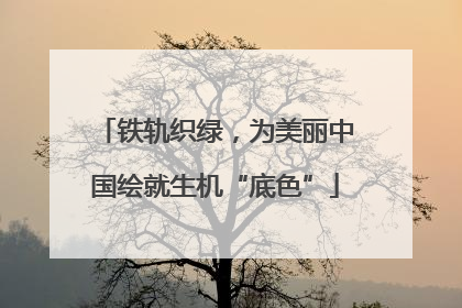 铁轨织绿，为美丽中国绘就生机“底色”