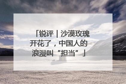 锐评｜沙漠玫瑰开花了，中国人的浪漫叫“担当”