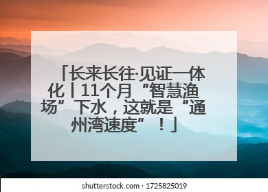 长来长往·见证一体化丨11个月“智慧渔场”下水，这就是“通州湾速度”！