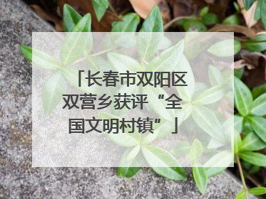 长春市双阳区双营乡获评“全国文明村镇”