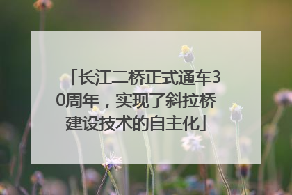 长江二桥正式通车30周年，实现了斜拉桥建设技术的自主化