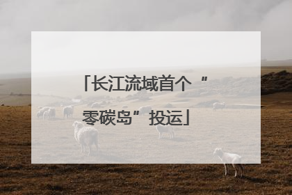 长江流域首个“零碳岛”投运
